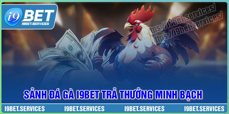 Đá gà của I9BET luôn mang đến những cảm giác như tham gia trực tiếp